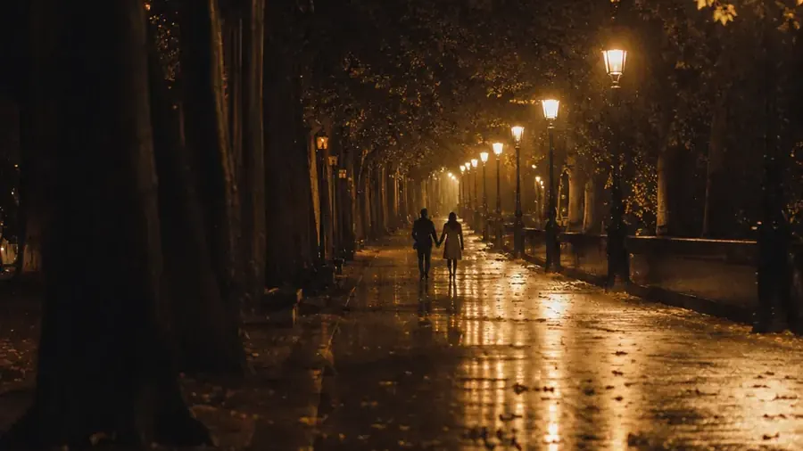 Un viale alberato illuminato di notte